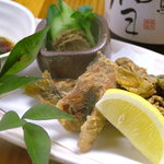 蛍 - 「うるか」（鮎の塩辛）等、地元レア商品