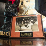 ヤナガセ - 歴史