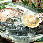 蛍 - 毎朝市場より仕入れる鮮魚、ネタは時期により変わります。
