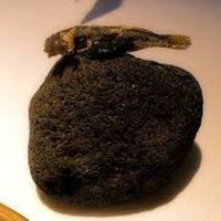 ブレストンコート ユカワタン - 