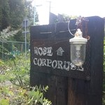 ROSE CORPORUSE - 