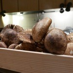 とく山 - 松茸！2015/8