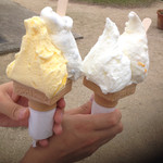 牛窓ジェラート工房 コピオ - ダブルコーン
