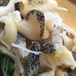 幸寿し - キラキラ光ってます