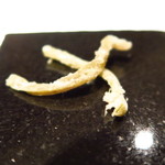 ブレストンコート ユカワタン - 