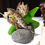 ブレストンコート ユカワタン - 