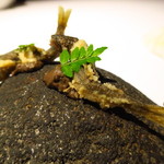 ブレストンコート ユカワタン - 