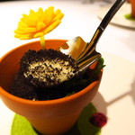 ブレストンコート ユカワタン - 