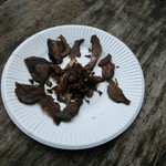 三条の湯 - 鹿の薫製　お試し価格３００円