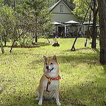 軽井沢の芽衣 - Nanaの後ろに見えるのが軽井沢の芽衣