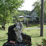 軽井沢の芽衣 - 妖精が棲んでるだ