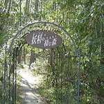 軽井沢の芽衣 - 妖精の棲む森