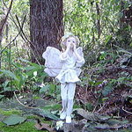 軽井沢の芽衣 - おぉぉぉ~い　妖精さん1