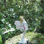 軽井沢の芽衣 - あちしが妖精でし