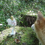 軽井沢の芽衣 - もしもしぃ~