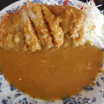 とんかつ 唐揚 おかだ - カツカレーアップ