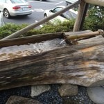 道の駅 賤母 レストラン - 