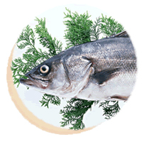 武田の笹かまぼこ - 本塩釜（海鮮）の写真