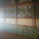 山の神温泉　優香苑 - とよさわ乃湯 内湯♪