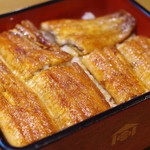 本家柴藤 - 大阪まむし「桜」