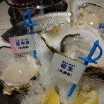 エカイエJP - 