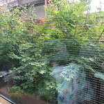 和ごころ　いけうち - 1509_いけうち_庭眺め