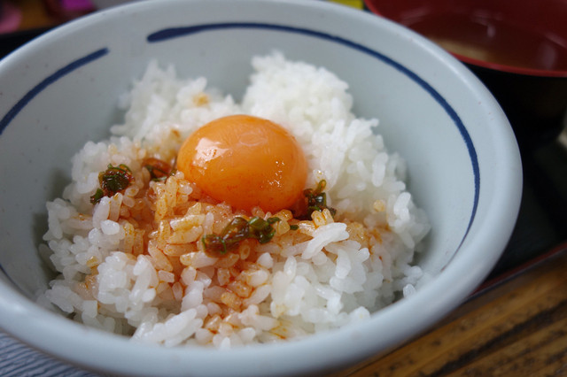 食堂かめっち 亀甲 定食 食堂 食べログ