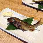 川原町 泉屋 - 炭火焼　鮎うるか焼