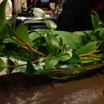 京松蘭はなれ - 椿とバランは五島から取り寄せている