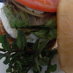 プレイスインザサン - 