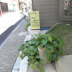 プレイスインザサン - 