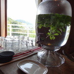 c:hord - ミントウォーター