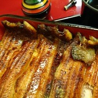 うなぎ割烹 大江戸 - 三枚いかだ（小）5,700円