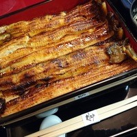 うなぎ割烹 大江戸 - 三枚いかだ（小）5,700円