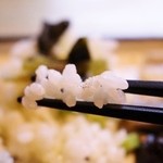 炭火焼き鳥と自然派ワインのお店　Gallo - 