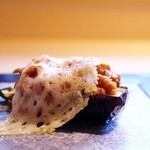 炭火焼き鳥と自然派ワインのお店　Gallo - 