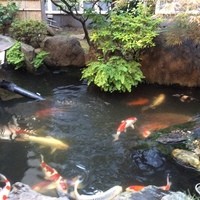 そば会席 立会川 吉田家 - 