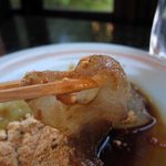 吉野本葛 天極堂 - 