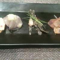オッジ ダルマット 西麻布店 - 