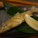 いろりの宿 芦名 - 近所オッサンの釣果