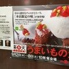 バニラビーンズ みなとみらい本店
