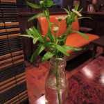 cafe マロニエ - いただくものはどれも美味しくて大満足。
      昭和レトロな雰囲気も大好なんだよね～ 