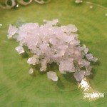 とんかつ ひやま - 御主人に語らせたら…話は尽きない…こだわりの塩