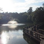 パークストリート - ホテルから徒歩10分先に、井の頭公園①♪