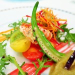 ル・マルカッサン ドール - 鎌倉の鮮やかな夏野菜と北陸金沢産甘海老のサラダ仕立て