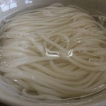 Tenryou Udon - ・天領うどん 麺が細い