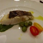 ペレグリーノ - 