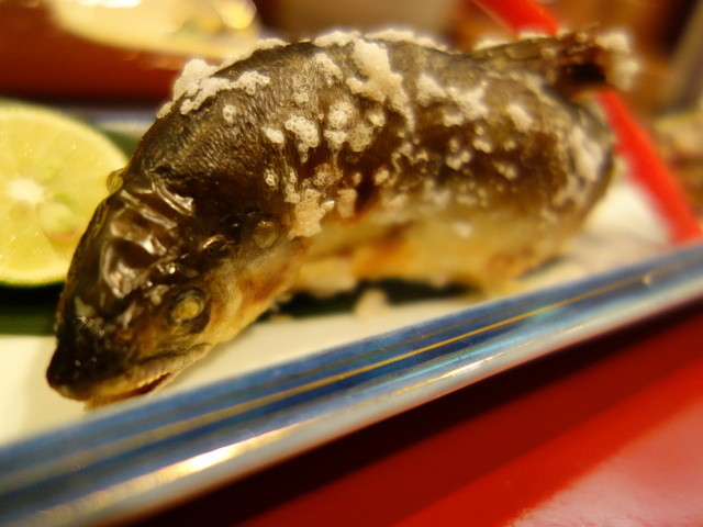 小晴れ - 七日町（居酒屋）の写真