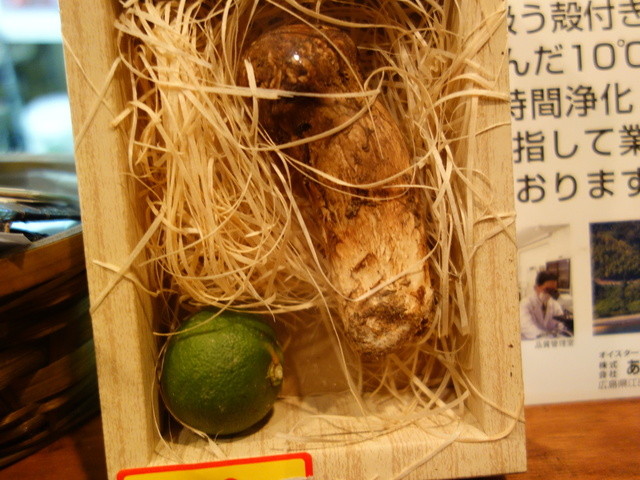 小晴れ - 七日町（居酒屋）の写真