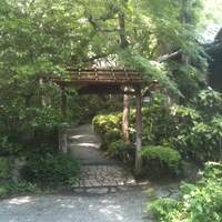 山ばな平八茶屋 - 庭２